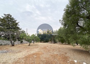 Foto 19 - Terreno edificabile Contrada Bellocchio, Monopoli - foto 19