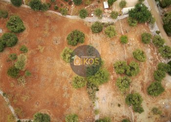 Foto 23 - Terreno edificabile Contrada Bellocchio, Monopoli - foto 23