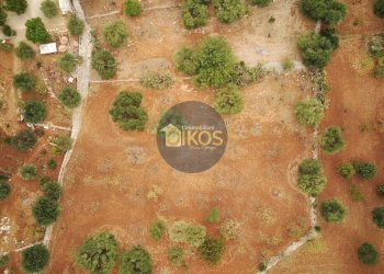 Foto 25 - Terreno edificabile Contrada Bellocchio, Monopoli - foto 25