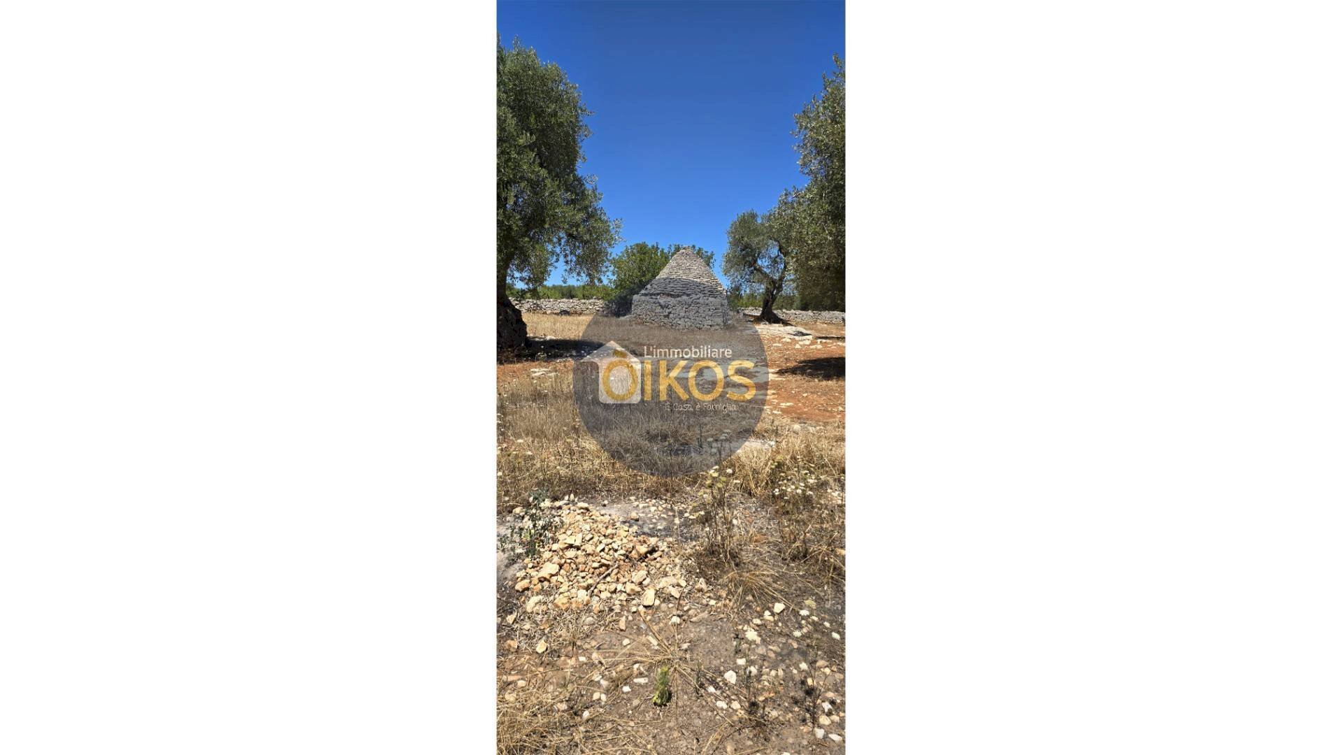 Foto 2 - Terreno agricolo contrada conchia, Monopoli - foto 2