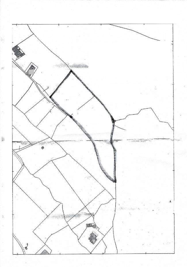 Foto 18 - Terreno agricolo contrada conchia, Monopoli - planimetria 1