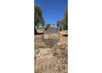 Foto 2 - Terreno agricolo contrada conchia, Monopoli - foto 2