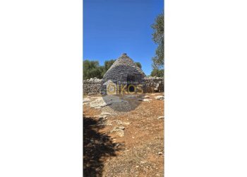 Foto 13 - Terreno agricolo contrada conchia, Monopoli - foto 13