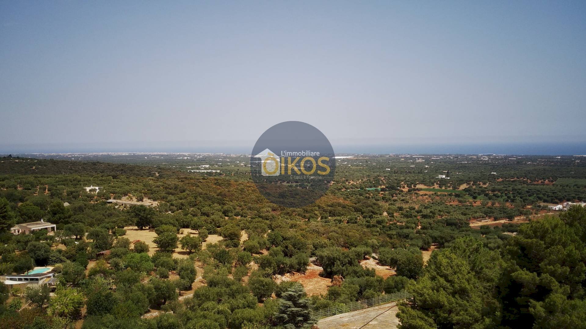 Foto 2 - Terreno agricolo Contrada Torchiano, Monopoli - foto 2