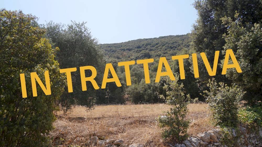 Foto 1 - Terreno agricolo Contrada Torchiano, Monopoli - foto 1