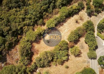 Foto 9 - Terreno agricolo Contrada Torchiano, Monopoli - foto 9