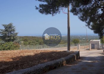 Foto 10 - Terreno agricolo Contrada Torchiano, Monopoli - foto 10