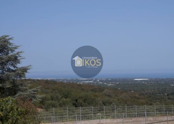 Foto 11 - Terreno agricolo Contrada Torchiano, Monopoli - foto 11