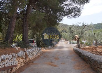 Foto 14 - Terreno agricolo Contrada Torchiano, Monopoli - foto 14