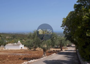 Foto 15 - Terreno agricolo Contrada Torchiano, Monopoli - foto 15