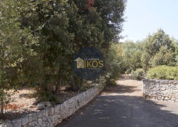 Foto 16 - Terreno agricolo Contrada Torchiano, Monopoli - foto 16