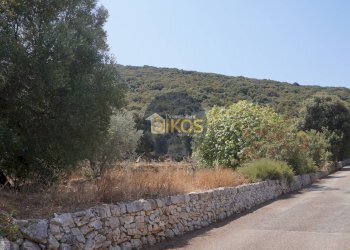 Foto 20 - Terreno agricolo Contrada Torchiano, Monopoli - foto 20