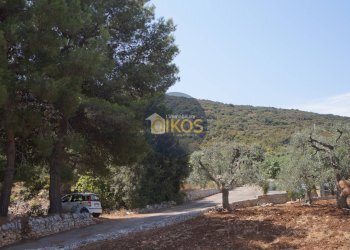 Foto 21 - Terreno agricolo Contrada Torchiano, Monopoli - foto 21