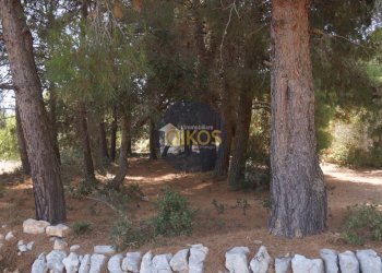 Foto 22 - Terreno agricolo Contrada Torchiano, Monopoli - foto 22