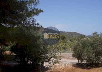 Foto 24 - Terreno agricolo Contrada Torchiano, Monopoli - foto 24