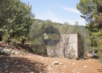 Foto 27 - Terreno agricolo Contrada Torchiano, Monopoli - foto 27