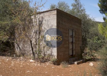 Foto 29 - Terreno agricolo Contrada Torchiano, Monopoli - foto 29