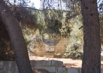 Foto 33 - Terreno agricolo Contrada Torchiano, Monopoli - foto 33