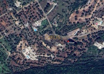 Foto 37 - Terreno agricolo Contrada Torchiano, Monopoli - foto 37