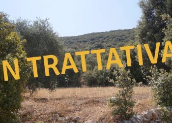 Foto 1 - Terreno agricolo Contrada Torchiano, Monopoli - foto 1