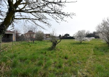 Foto 2 - Terreno edificabile VIA SANT UMBERTO
 
17, Turbigo - foto 2