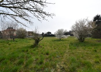 Foto 15 - Terreno edificabile VIA SANT UMBERTO
 
17, Turbigo - foto 15