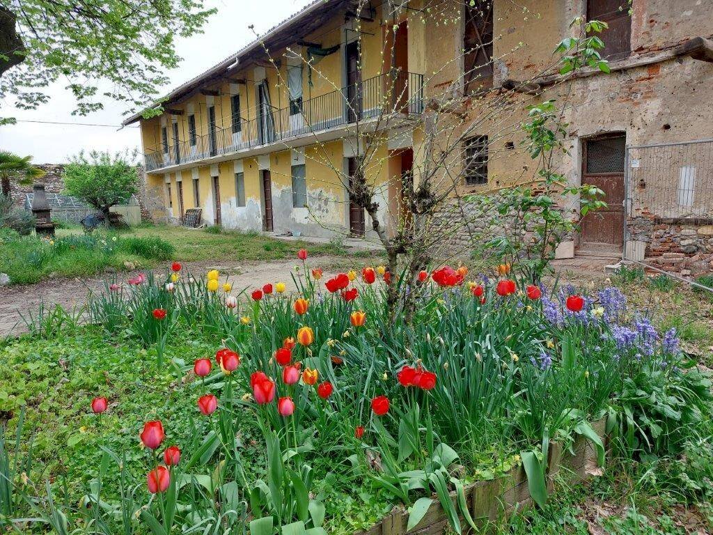 Foto 3 - Farm TICINO, Cameri - photo 3