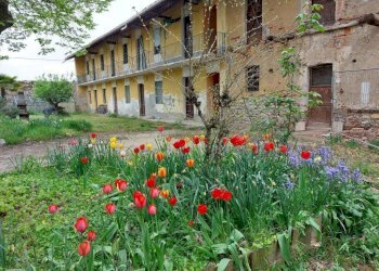 Foto 3 - Farm TICINO, Cameri - photo 3