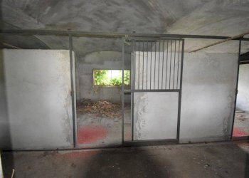 Foto 52 - Farm TICINO, Cameri - photo 52