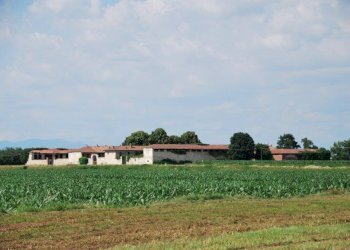 Foto 70 - Farm TICINO, Cameri - photo 70