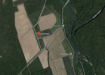 Foto 84 - Farm TICINO, Cameri - photo 84