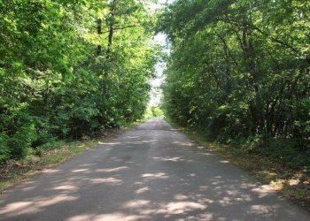 Foto 82 - Commercial Premises TICINO, Cameri - photo 82