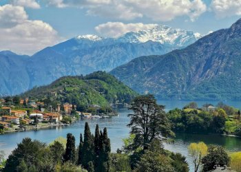 Foto 14 - Terreno edificabile VIA BELLINI, Monguzzo - foto 14