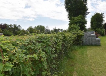 Foto 6 - Terreno edificabile via Magenta, San Vittore Olona - foto 6