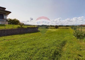 Giardino - Villa Monterosi - foto 34