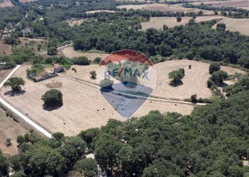 Posizione della mappa - Rustico VIA COSTARONI
 
1, Formello - foto 14