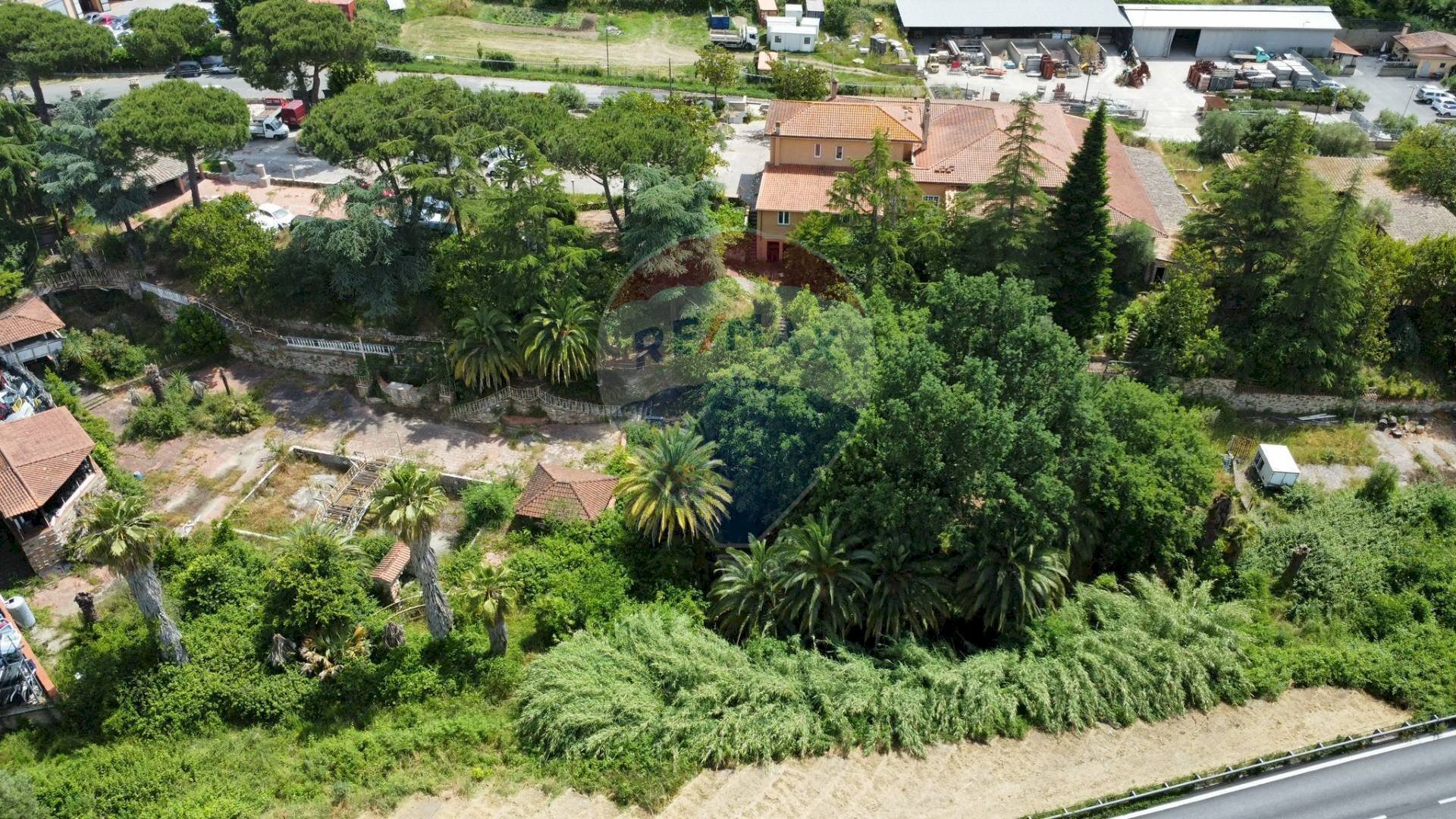 Giardino - Attività Commerciale Via Cassia, Campagnano di Roma - foto 2