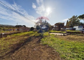 Giardino - Commercial Activity Via Cassia, Campagnano di Roma - photo 10