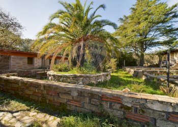 Giardino - Commercial Activity Via Cassia, Campagnano di Roma - photo 31