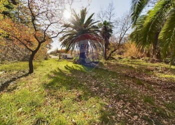 Giardino - Commercial Activity Via Cassia, Campagnano di Roma - photo 36