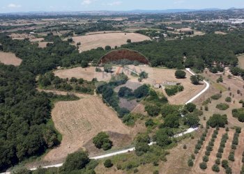 Posizione della mappa - Terreno edificabile VIA COSTARONI, Formello - foto 9