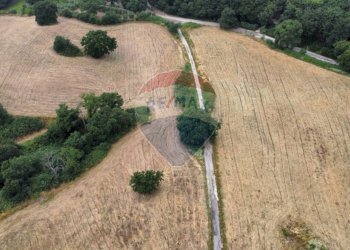 Giardino - Terreno edificabile VIA COSTARONI, Formello - foto 11