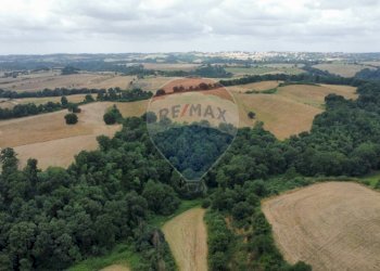Vista delle montagne - Terreno edificabile VIA COSTARONI, Formello - foto 12