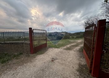 Giardino - Agricultural land via dei mandriali
 
55, Campagnano di Roma - photo 3