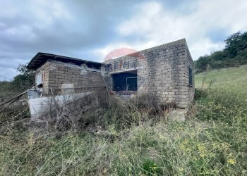 Casa all\'aperto - Agricultural land via dei mandriali
 
55, Campagnano di Roma - photo 7