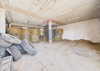 Parcheggio - Villa Campagnano di Roma - foto 21