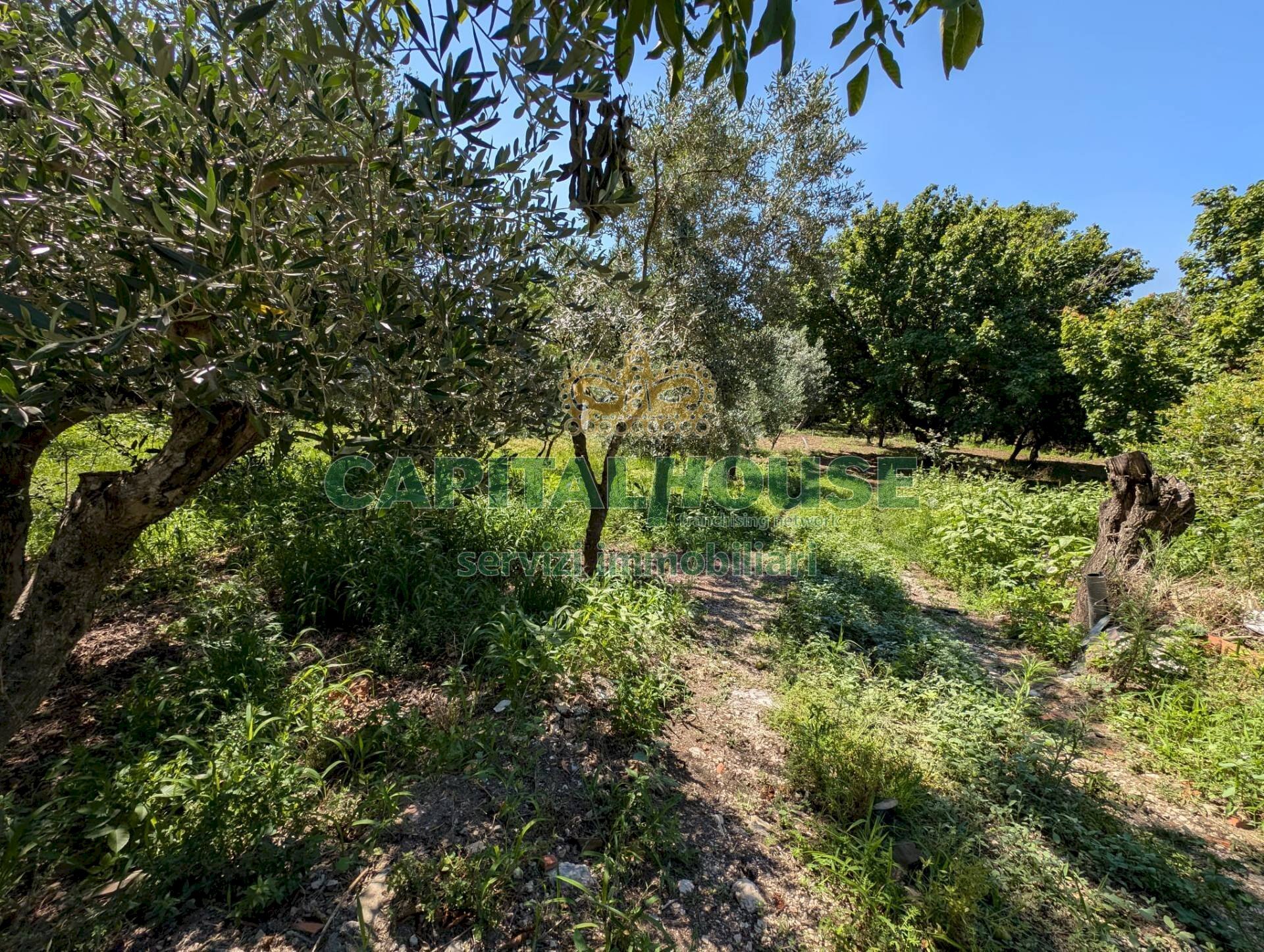 Foto 2 - Agricultural land Contrada Fellino, Cicciano - photo 2