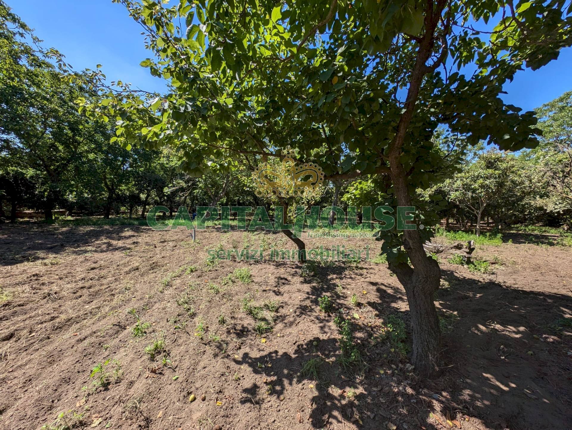 Foto 3 - Agricultural land Contrada Fellino, Cicciano - photo 3