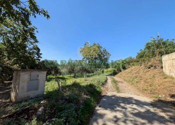 Foto 1 - Agricultural land Contrada Fellino, Cicciano - photo 1