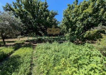 Foto 4 - Agricultural land Contrada Fellino, Cicciano - photo 4